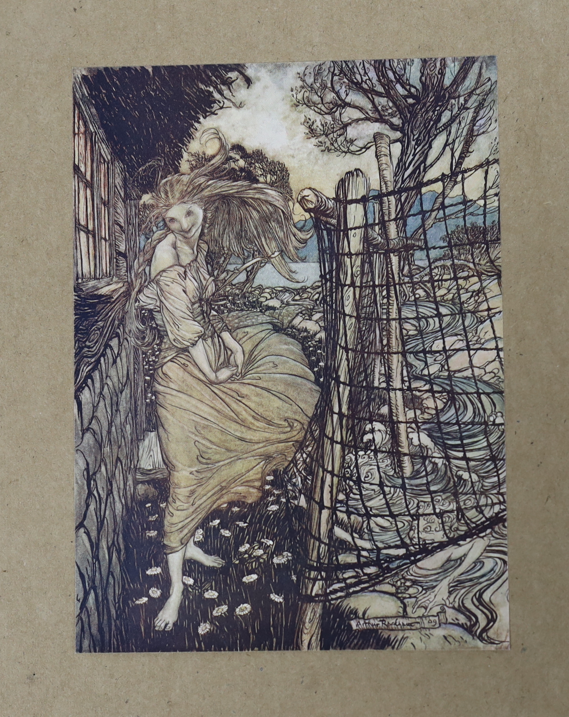 Rackham, Arthur (illustrator) - Fouque, Heinrich Karl de la Motte - Undine, one of 1000, signed by Arthur Rackham